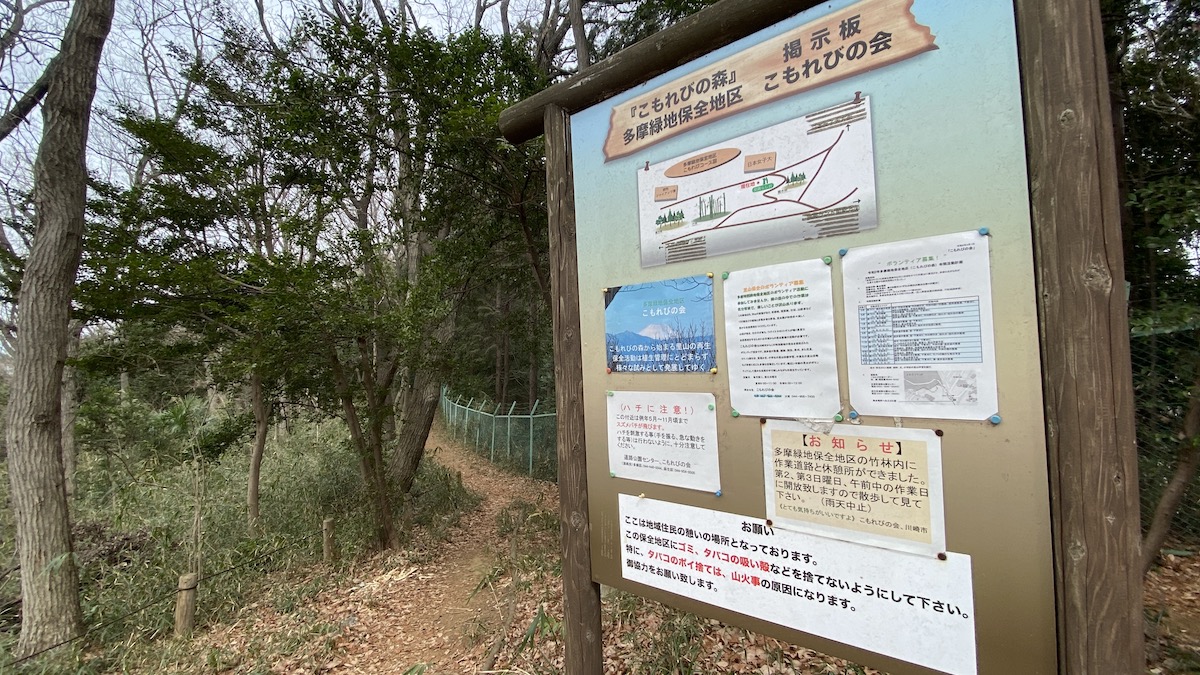 頂上