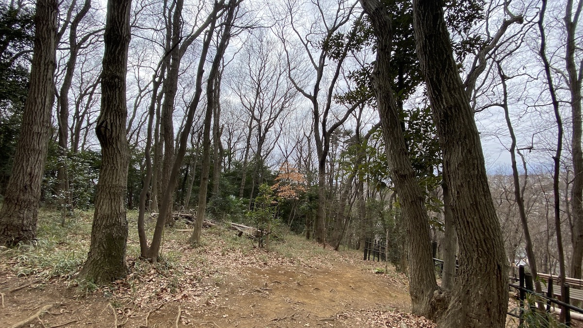 頂上