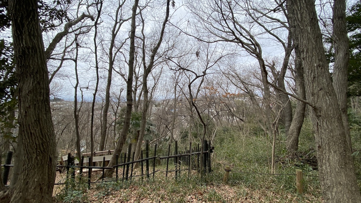 頂上