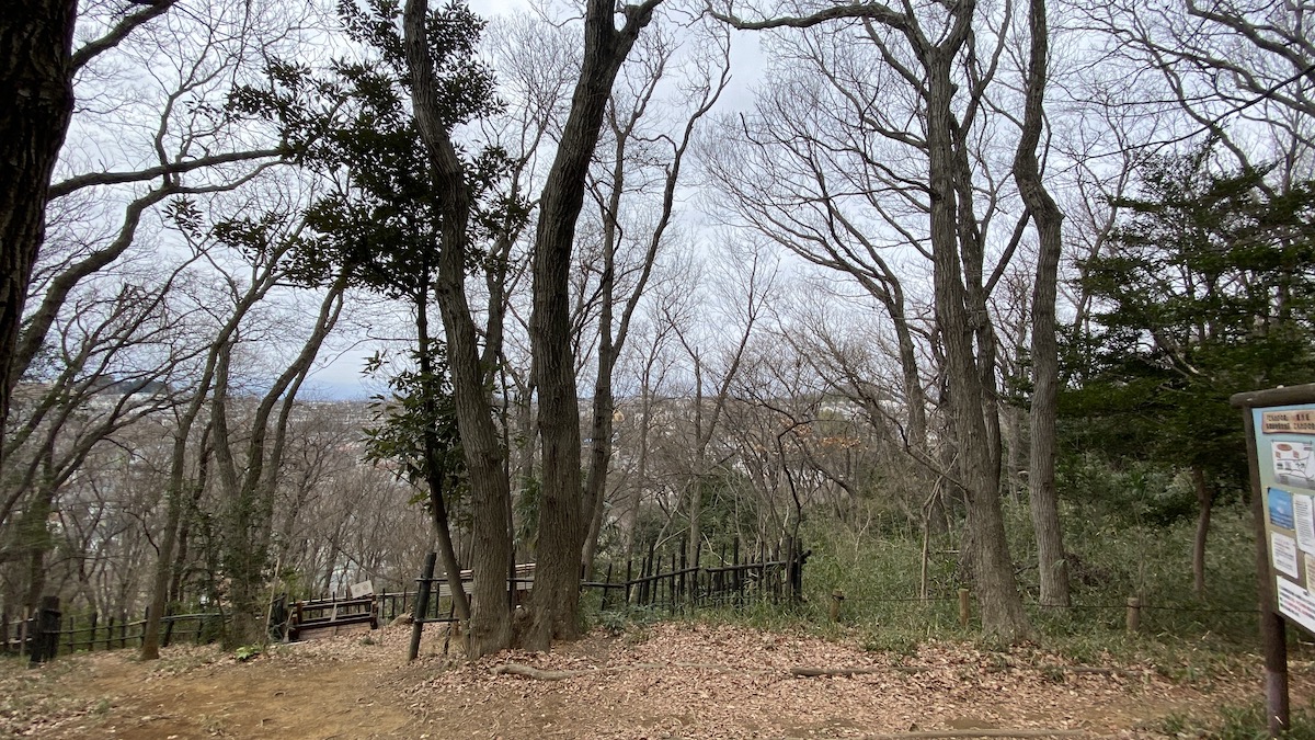 頂上