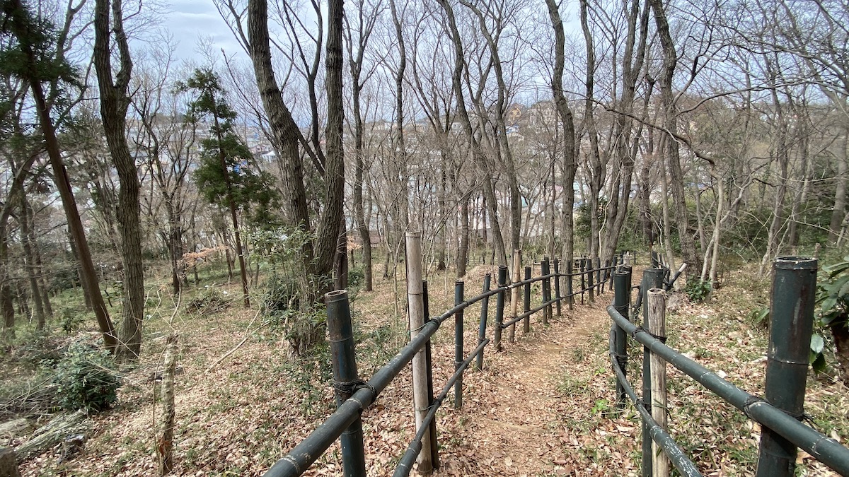 下山ルート