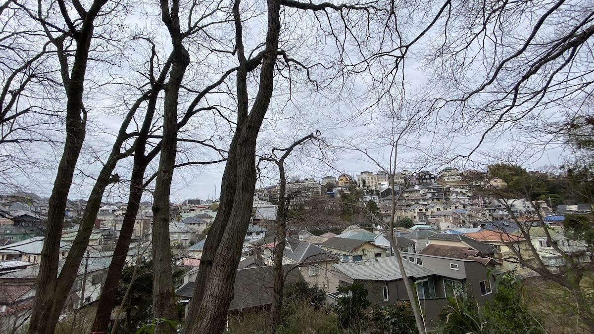 下山ルート