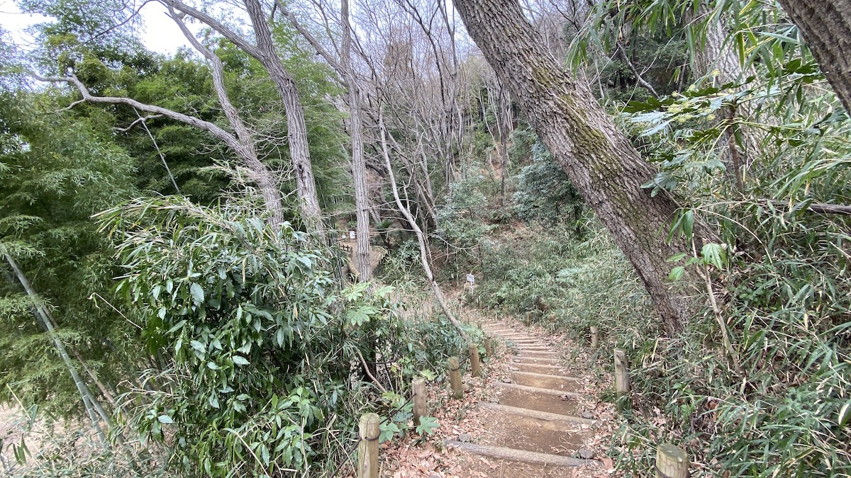 下山ルート