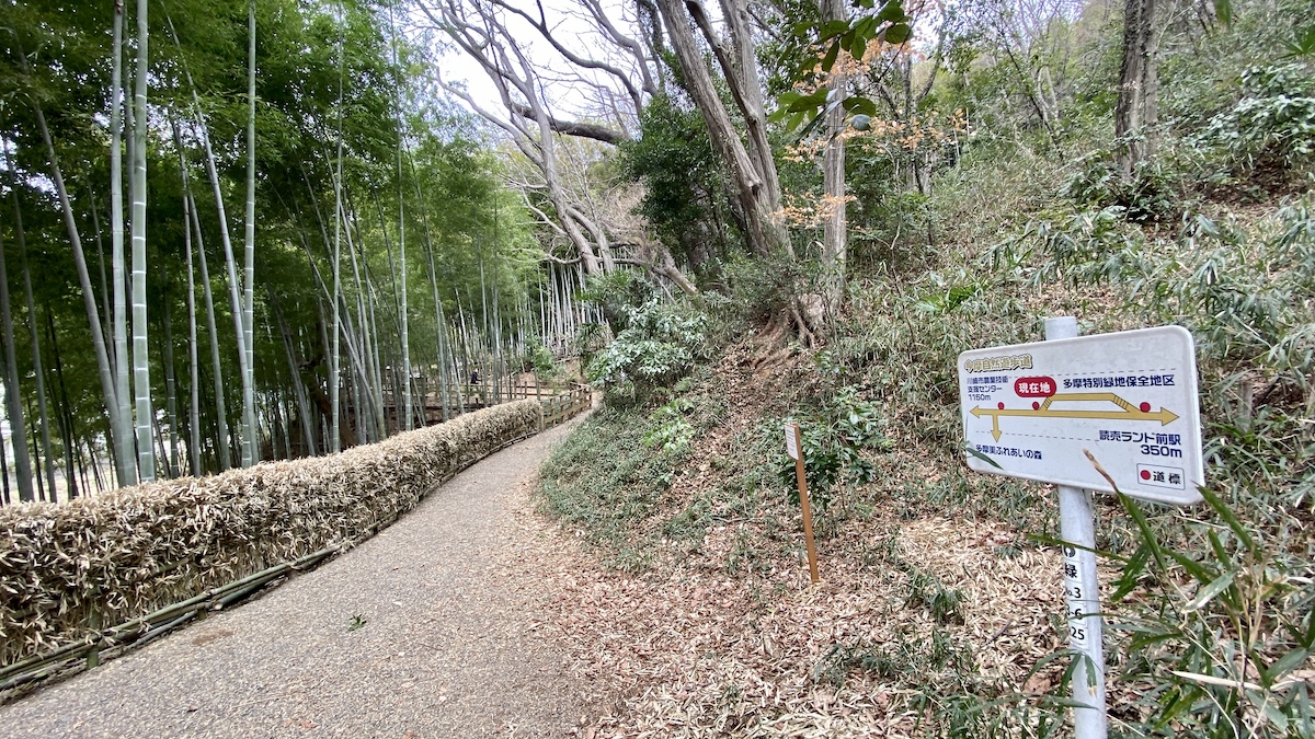 下山ルート