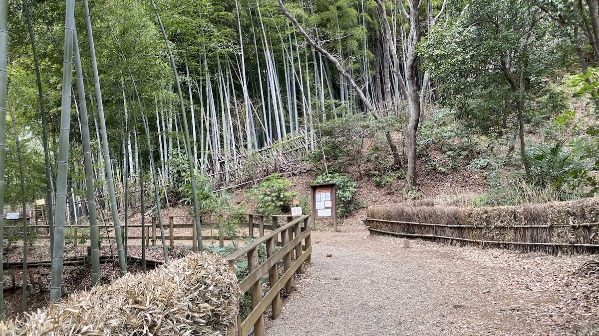 竹林