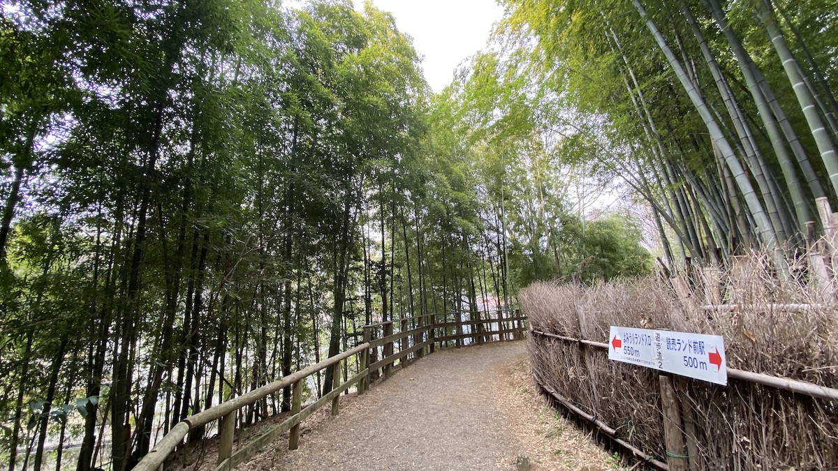 竹林