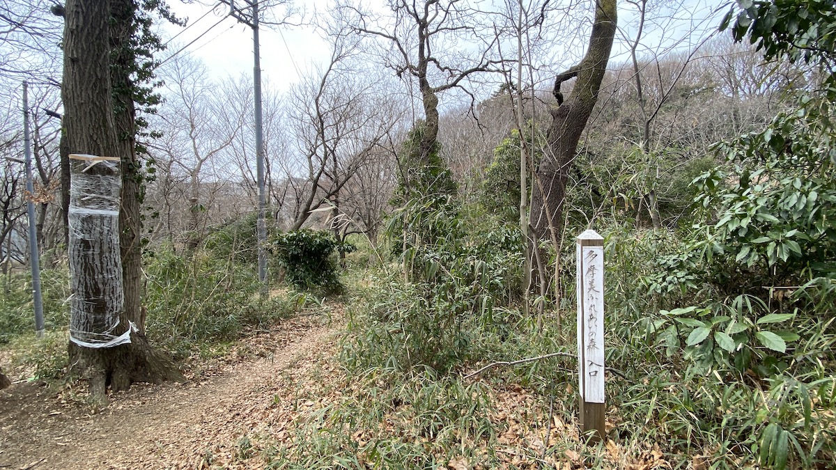 豊かな自然