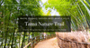 Tama Nature Trail - Recommendation for an easy hike with rich nature and beautiful bamboo forest