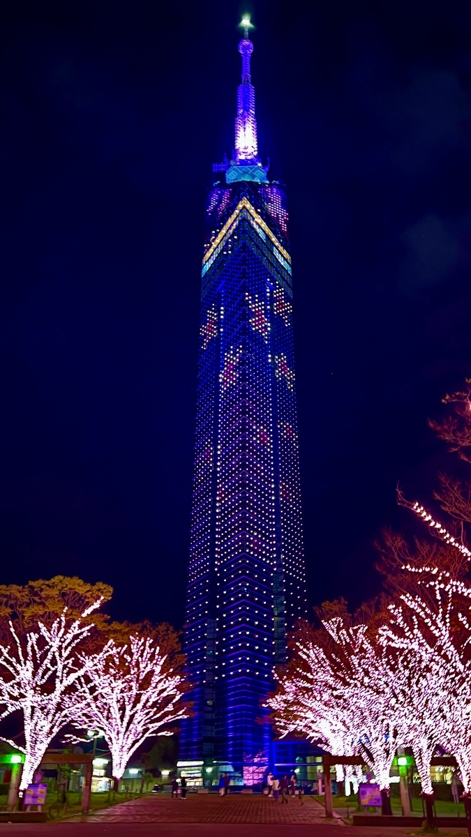 Blue-lit Fukuoka Tower rising behind cherry blossom-pink illuminated trees at night