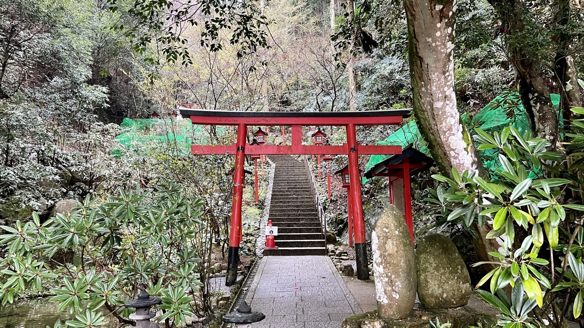 赤い鳥居の先に続く石段と参道の緑に包まれた景色