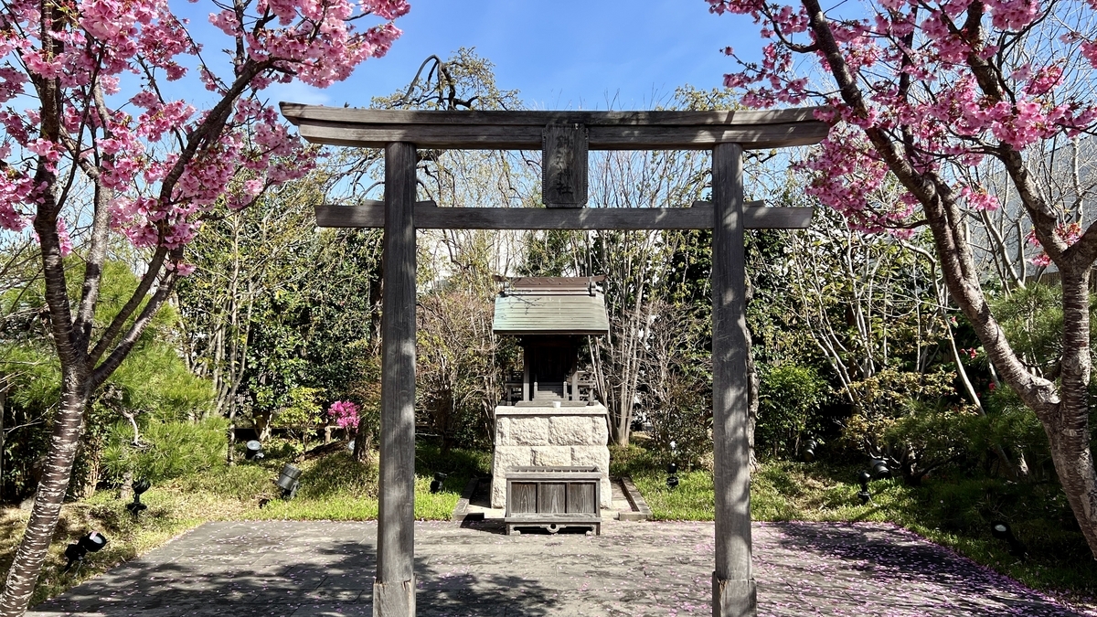 The small main hall visible behind the main torii gate with cherry blossom petals on the stone pavement