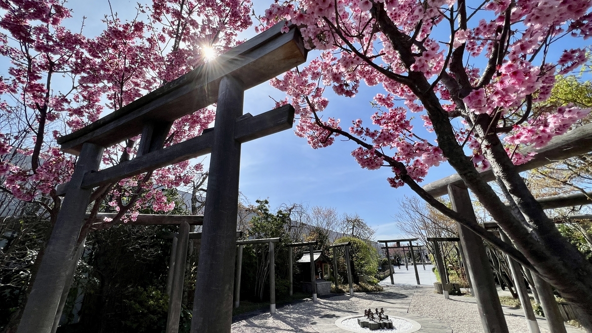 Torii gates along the cherry blossom-lined approach with the Seven Lucky Children statue in the circular plaza below
