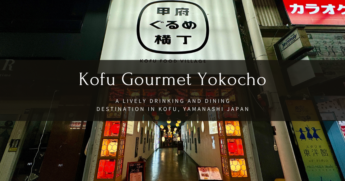 Kofu Gourmet Yokocho ~Kofu night, a cutting-edge bar district where you can find all kinds of alcohol and Yamanashi specialties~