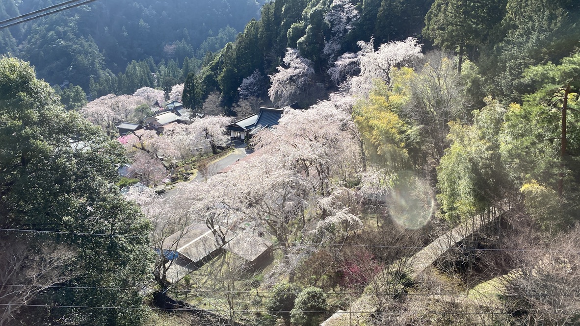 View from the ropeway