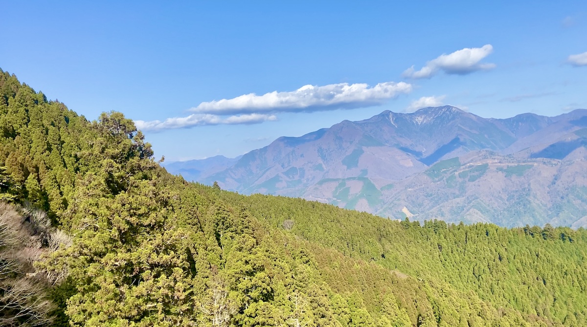 View from the ropeway