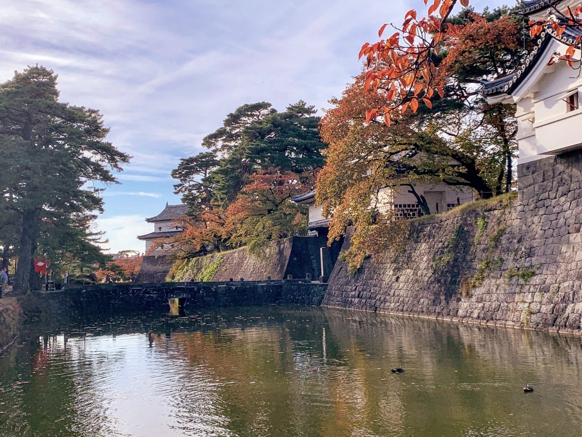 Autumn Leaves and Shibata Castle