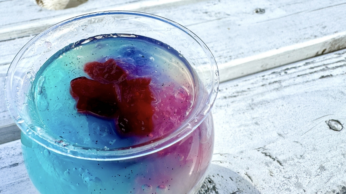 Odawara fishing port pudding