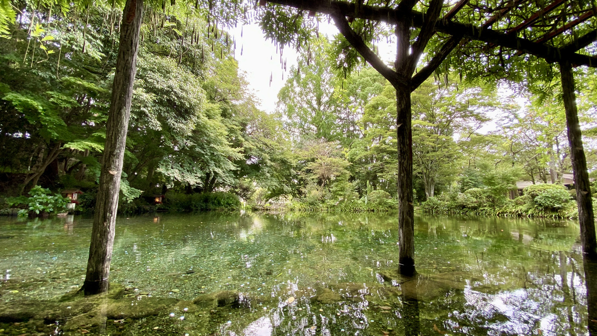 Wakutama Pond