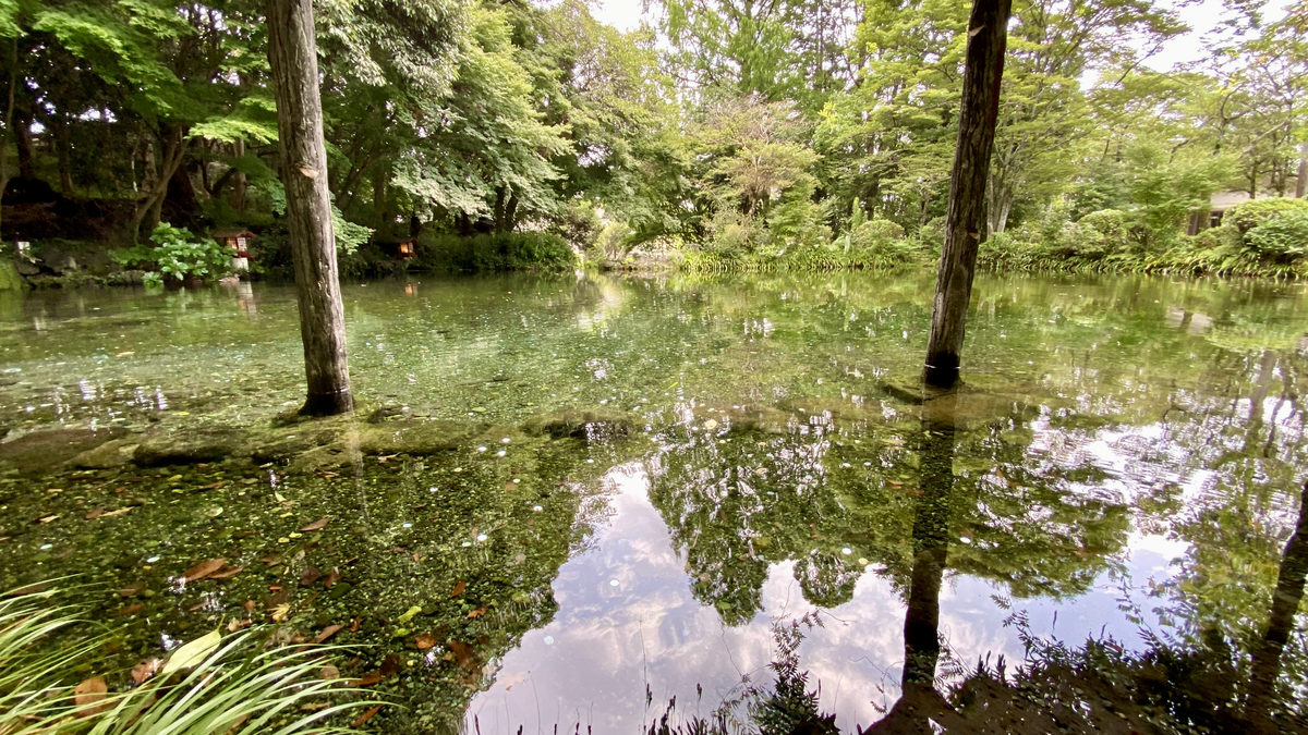 Wakutama Pond