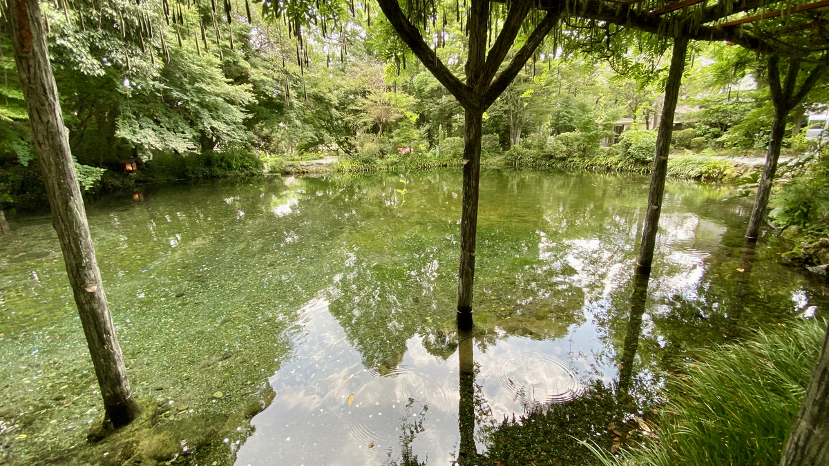 Wakutama Pond