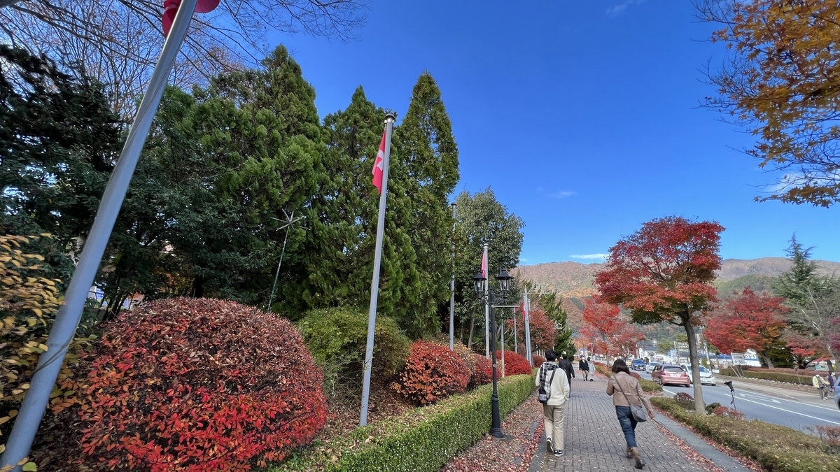 Momiji Kaido