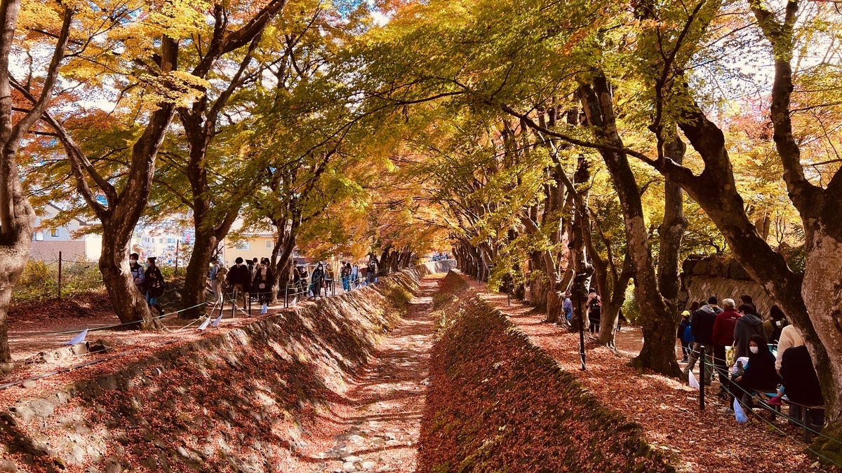 Lake Kawaguchi Maple Corridor