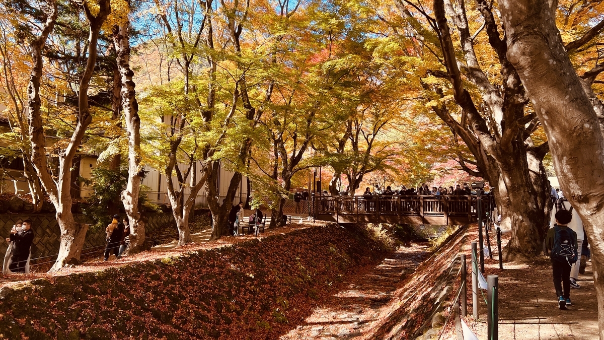 Lake Kawaguchi Maple Corridor