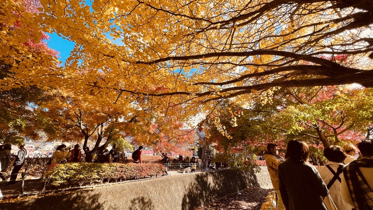 Golden Tunnel