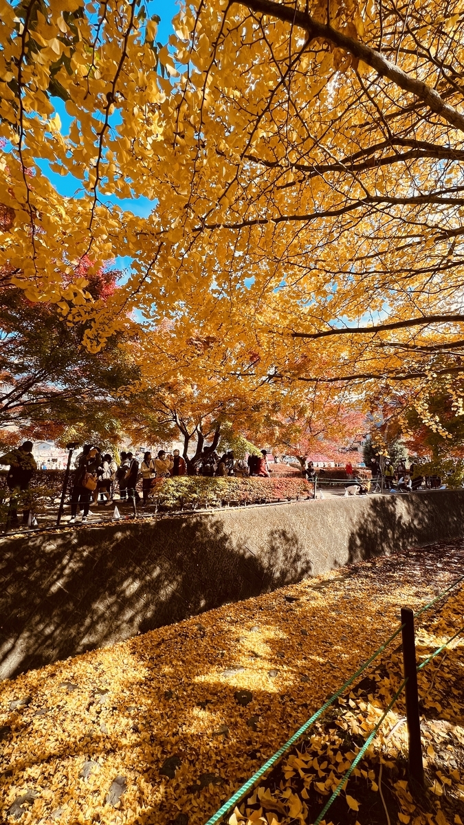 Golden Tunnel