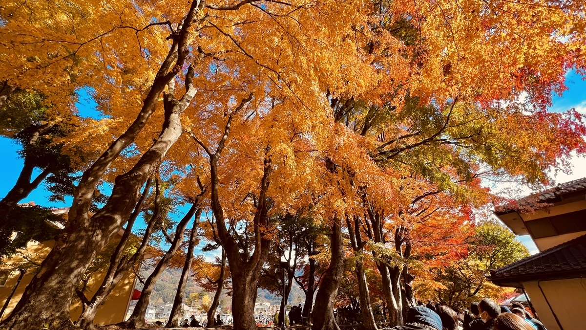Lake Kawaguchi Maple Corridor