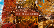 異世界級の紅葉トンネルが幻想的で美しい！河口湖もみじ回廊の見頃・アクセス必勝ガイド