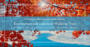 Mount Fuji and Autumn Colors: The Ultimate Walking Route at Lake Kawaguchiko Fall Festival