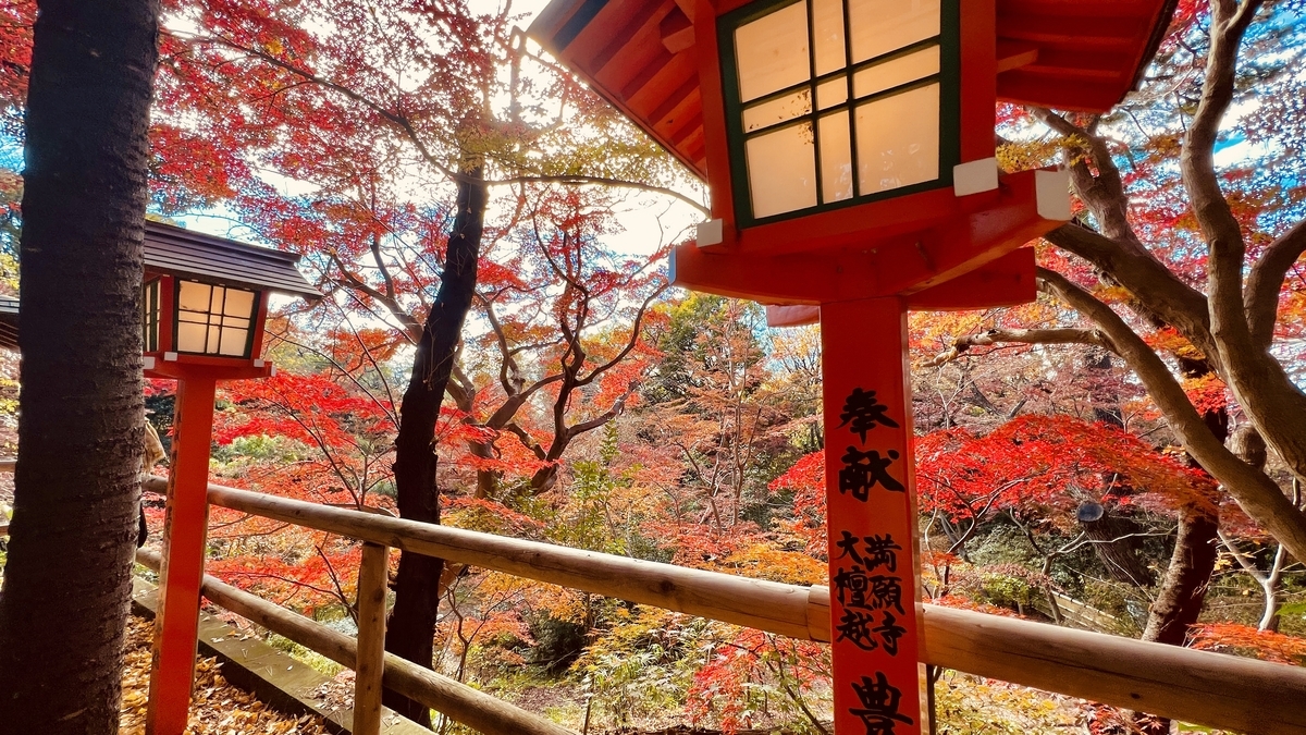 紅葉