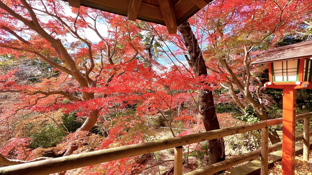 紅葉