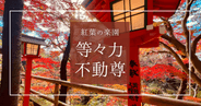 世田谷で紅葉の絶景！都心から僅か30分「等々力不動尊」等々力渓谷の大迫力紅葉を大パノラマで