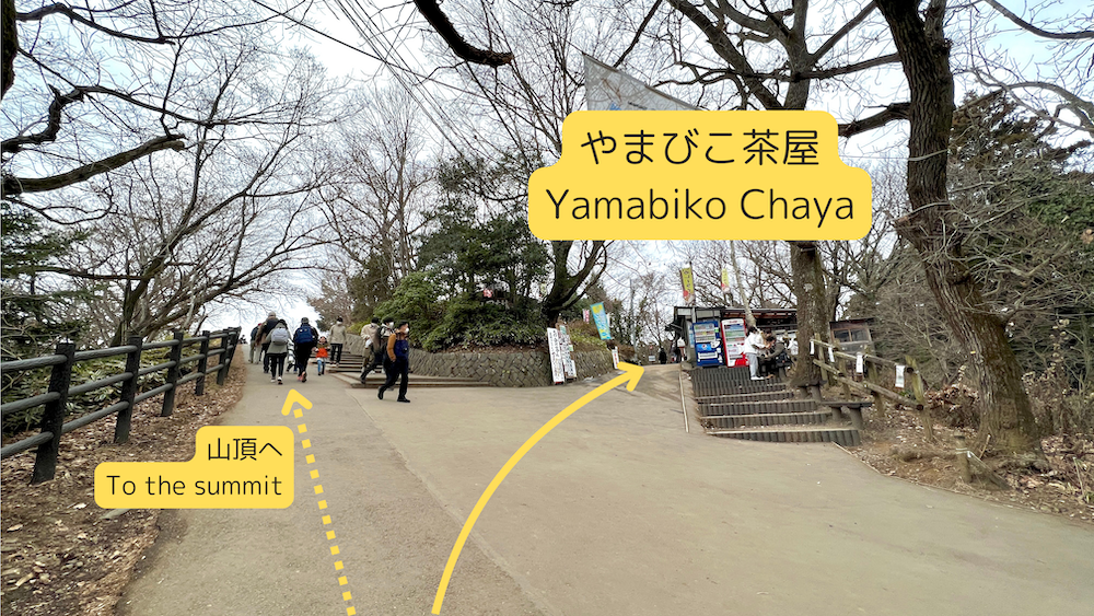Fork leading to Yamabiko Chaya