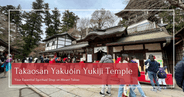 Takaosan Yakuōin Yukiji Temple: Your Essential Spiritual Stop on Mount Takao