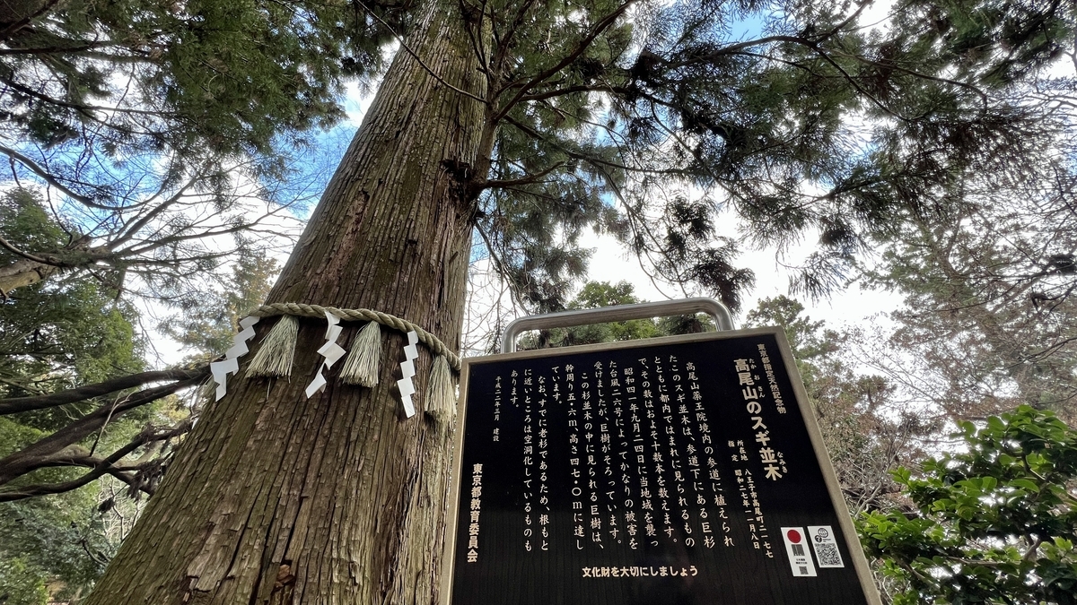 Mt. Takao