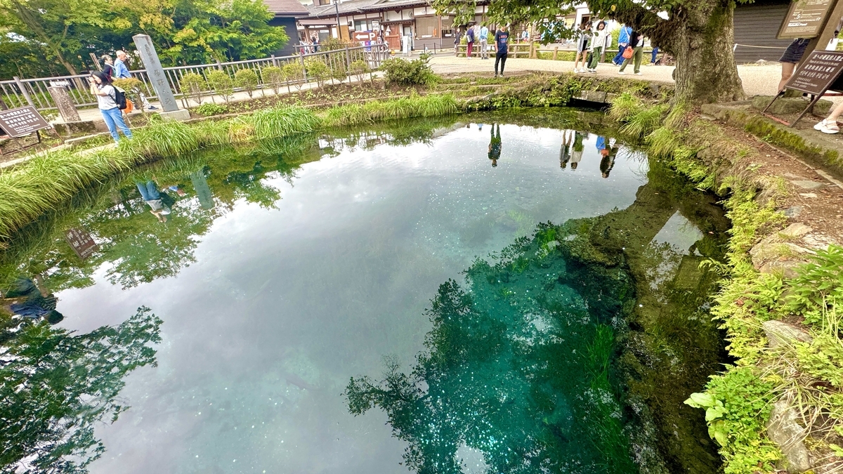 Wakuike pond