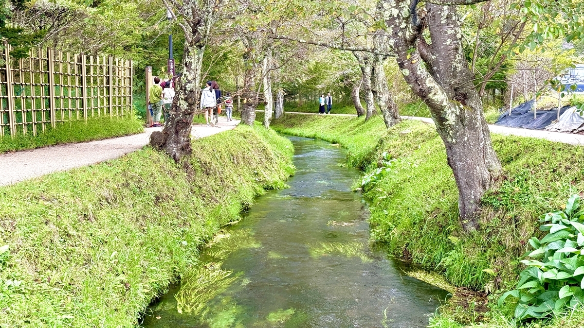 Walking path
