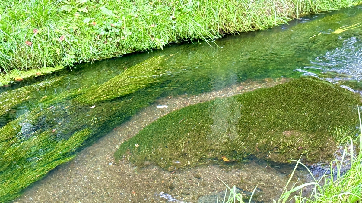 Riverbed view