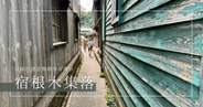 佐渡島で話題の宿根木集落が本気だった！激狭迷路路地にレトロがいっぱい＆船大工が発展させた独自過ぎる建築技術