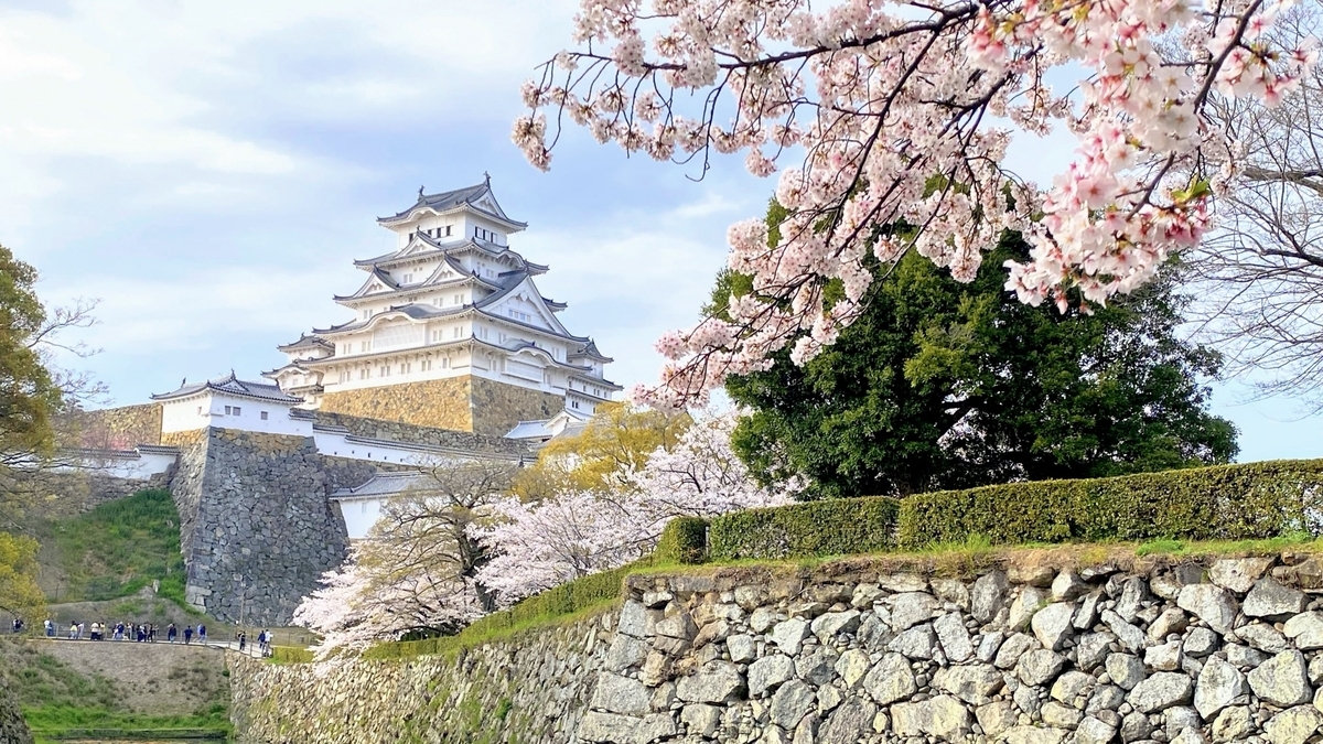 Himeji Castle with cherry blossoms