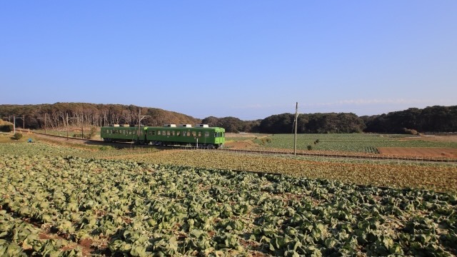 銚子電鉄が走るのどかな田舎風景