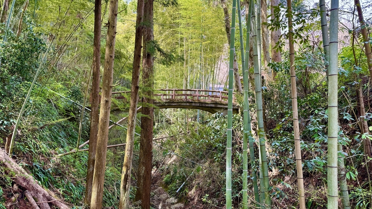 Ancient Path