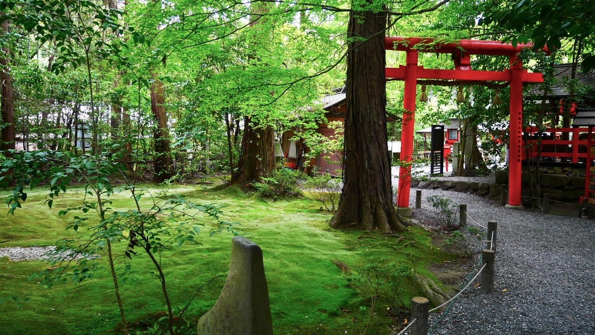 苔庭