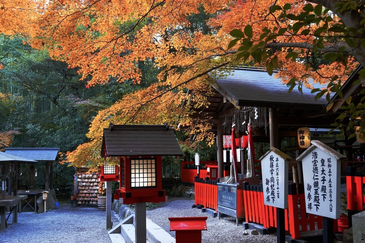 境内の紅葉