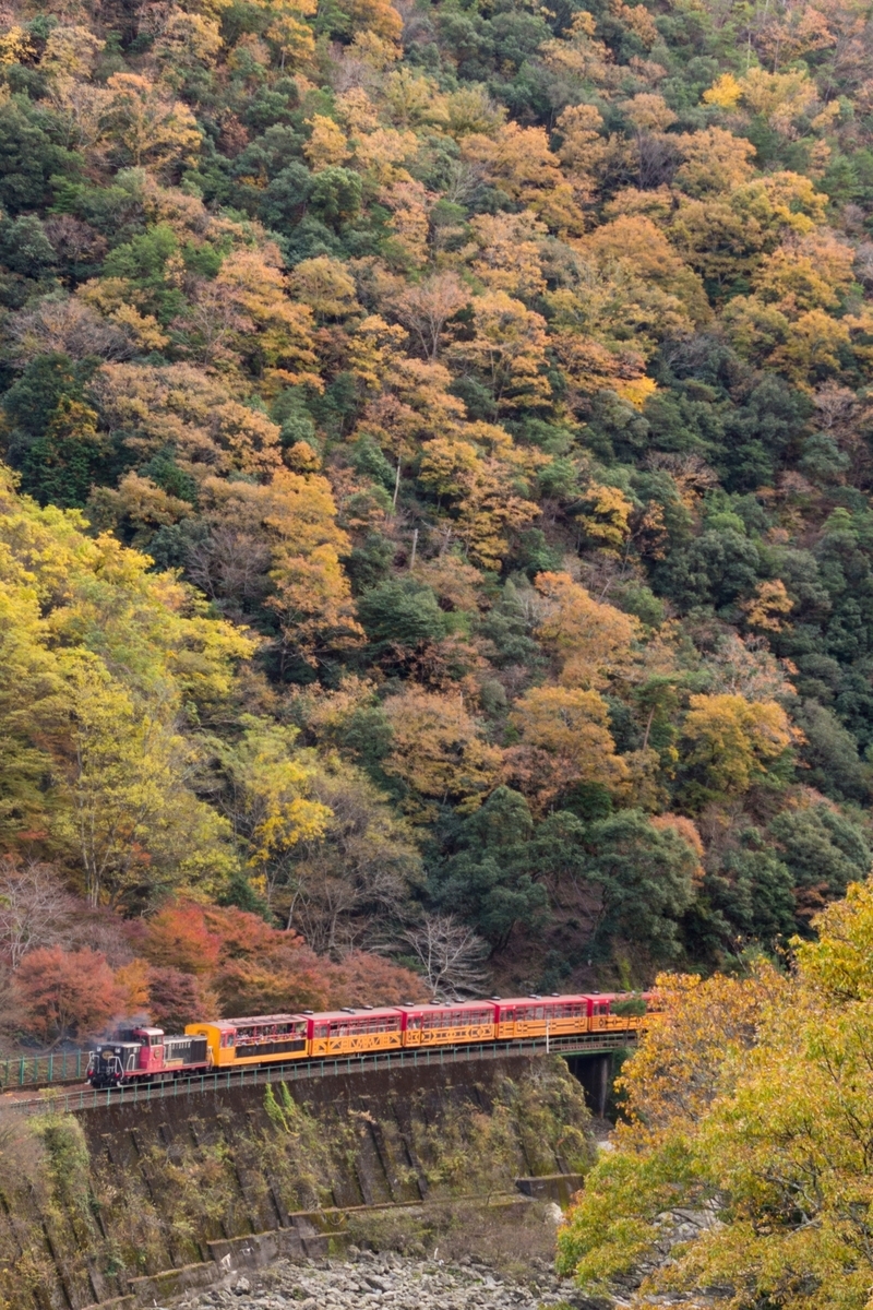 トロッコ列車