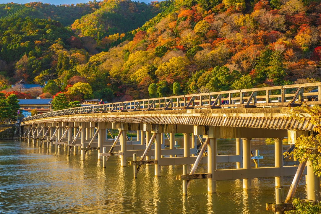 秋の渡月橋