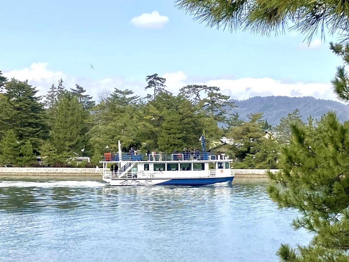Sightseeing Boat